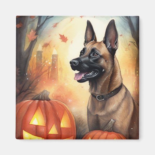 Halloween Belgisch Malinoi mit Pumpkins Beängstige Magnet (Vorne)