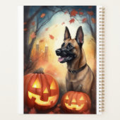 Halloween Belgisch Malinoi mit Pumpkins Beängstige Planer (Rückseite)