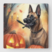 Halloween Belgisch Malinoi mit Pumpkins Beängstige Quadratische Wanduhr (Vorderseite)