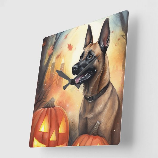 Halloween Belgisch Malinoi mit Pumpkins Beängstige Quadratische Wanduhr (Winkel)