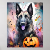 Halloween belgischer Schäferhund mit Pumpkins Beän Poster (Vorne)