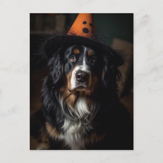 Halloween Bernese Mountain Dog Adorable Postkarte (Vorderseite)