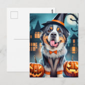 Halloween Bernese Mountain Dog Postkarte (Vorne/Hinten)