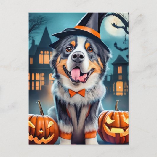 Halloween Bernese Mountain Dog Postkarte (Vorderseite)