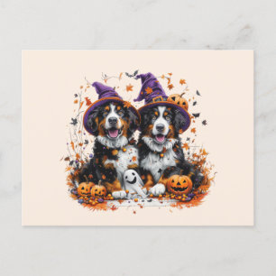 Halloween Bernese Mountain Hogs Hexenghost Postkarte