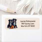 Halloween Bernese Mountain Hogs Pumpkin (Insitu)
