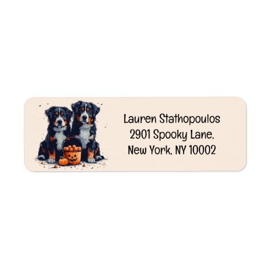 Halloween Bernese Mountain Hogs Pumpkin (Vorne)