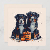 Halloween Bernese Mountain Hogs Pumpkin Einladung (Vorne/Hinten)