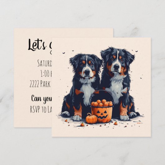 Halloween Bernese Mountain Hogs Pumpkin Einladung (Vorne/Hinten)