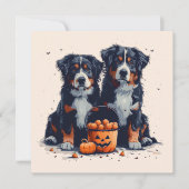 Halloween Bernese Mountain Hogs Pumpkin Einladung (Vorderseite)