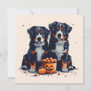 Halloween Bernese Mountain Hogs Pumpkin Einladung