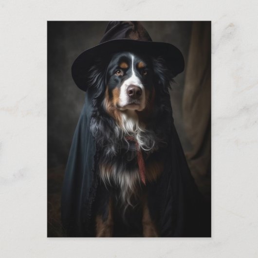 Halloween Bernese Mountain Hund Postcard Postkarte (Vorderseite)