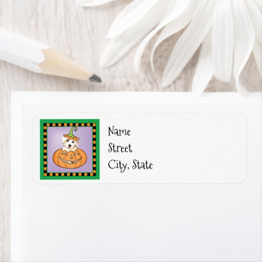 Halloween Bichon (Insitu)