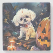 Halloween Bichon Frise mit Pumpkins Beängstigend Steinuntersetzer (Vorderseite)
