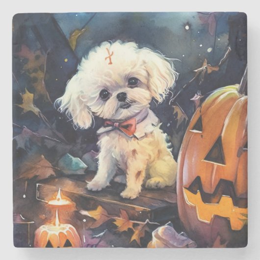 Halloween Bichon Frise mit Pumpkins Beängstigend Steinuntersetzer (Vorderseite)