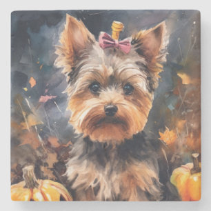 Halloween Biewer Terrier mit Pumpkins Beängstigend Steinuntersetzer