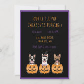 Halloween Birthday French Bulldogs Einladung (Vorderseite)