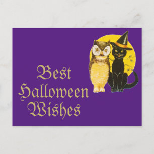 Halloween Black Cat and Owl Postkarte