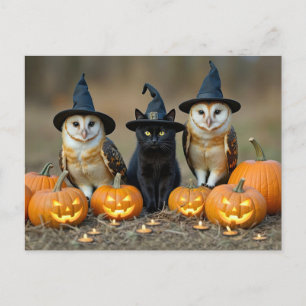 Halloween Black Cat and Owls Niedlich Feiertagspostkarte