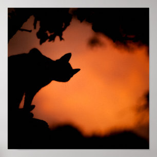 Halloween Black Cat Orange Hintergrund anpassen Poster