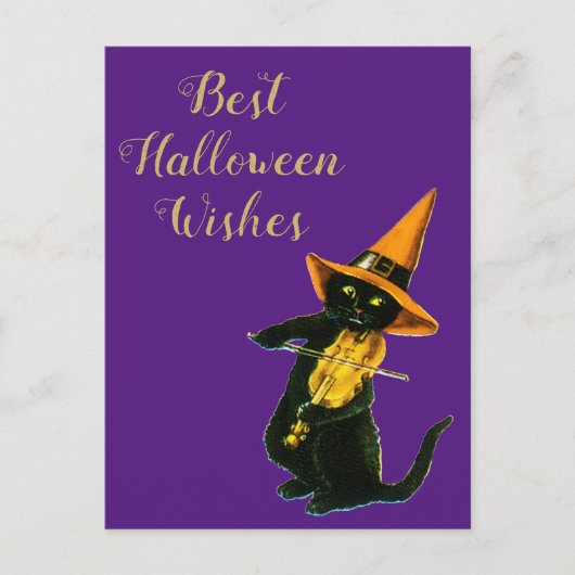 Halloween Black Cat Postkarte (Vorderseite)