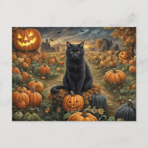 Halloween Black Cat Pumpkin Patch Niedlich Feiertagspostkarte