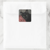 Halloween Black Cat Quadratischer Aufkleber (Tasche)