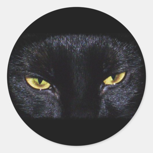 Halloween Black Cat Sticker (Vorderseite)