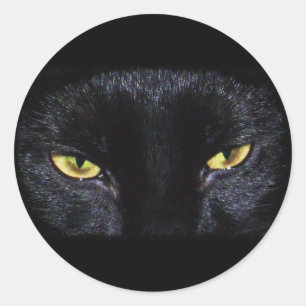Halloween Black Cat Sticker