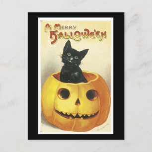 Halloween Black Cat und Pumpkin Postkarte