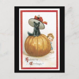 Halloween Black Cat und Pumpkin Postkarte