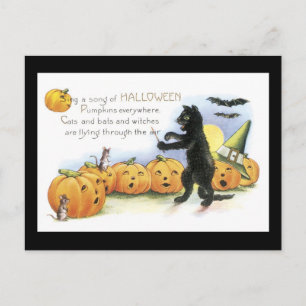 Halloween Black Cat und Pumpkin Postkarte