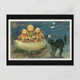 Halloween Black Cat und Pumpkin Postkarte