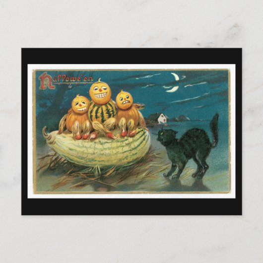 Halloween Black Cat und Pumpkin Postkarte (Vorderseite)