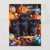 Halloween Black Cats mit Pumpkins und Candy Postkarte (Vorderseite)