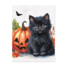 Halloween Black Kitten mit Jack-o-Laterne