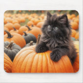 Halloween Black Kitten on a Pumpkin Mousepad (Vorne)