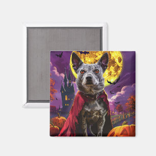 Halloween Blue Heeler Dog Pumpkins Beängstigend Magnet