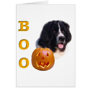 Halloween Boo (Grundstück)
