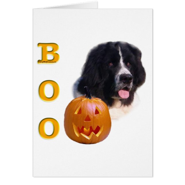 Halloween Boo (Grundstück) (Vorne)