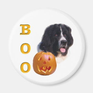 Halloween Boo (Grundstück) Magnet