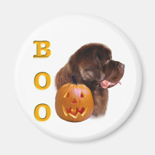 Halloween Boo Magnet