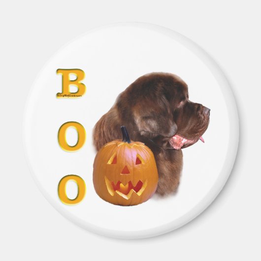 Halloween Boo Magnet (Vorne)