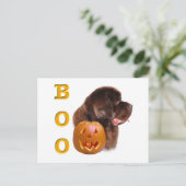 Halloween Boo Postkarte (Stehend Vorderseite)