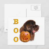 Halloween Boo Postkarte (Vorne/Hinten)