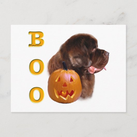 Halloween Boo Postkarte (Vorderseite)