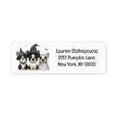Halloween Boston Terrier Dogs (Vorne)