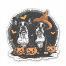 Halloween Boston Terrier Dogs