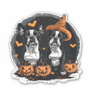 Halloween Boston Terrier Dogs Aufkleber