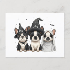 Halloween Boston Terrier Dogs Postkarte